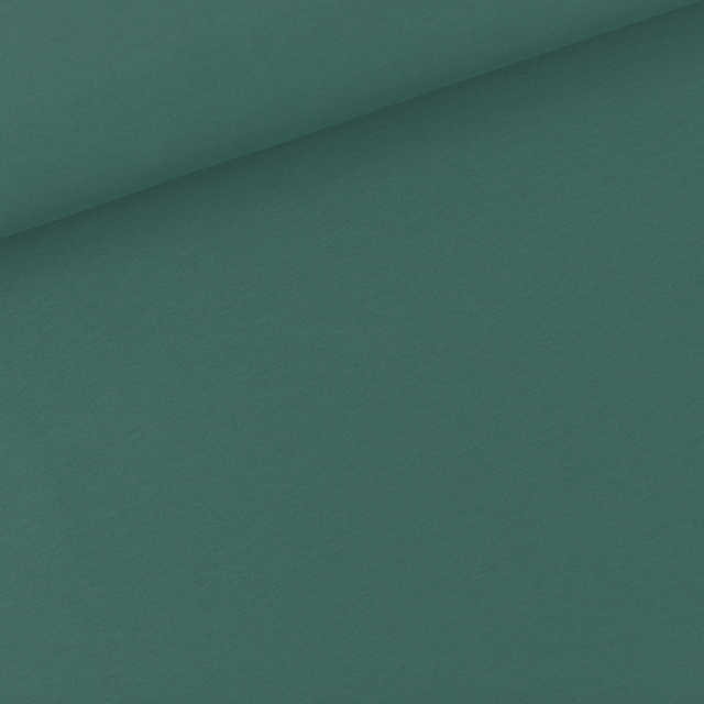 French terry 'Silver Pine Green' van 'See You At Six'